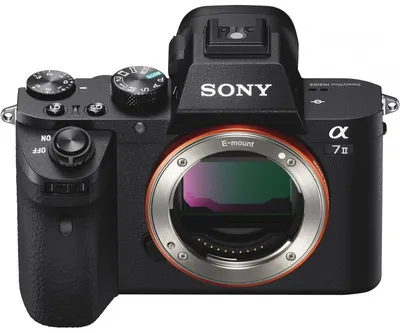 Sony а7R V: 60 Мп, ИИ-автофокус и уникальный дисплей | Обзоры | Фото,  видео, оптика | Фотосклад Эксперт