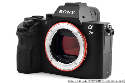 Обзор от покупателя на Цифровой фотоаппарат Sony Alpha A7S II (M2) Body  (без объектива) — интернет-магазин ОНЛАЙН ТРЕЙД.РУ