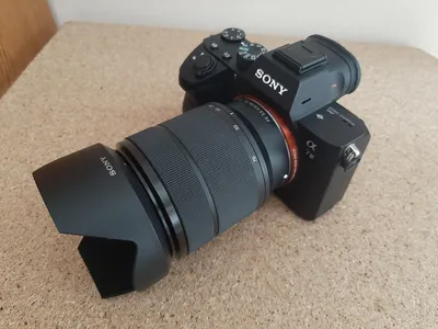 Sony Alpha A7 II пример фотографии 258299929