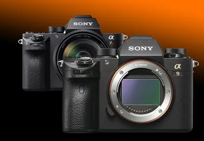 Обзор камеры Sony Alpha 7C