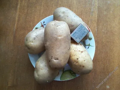 Картофель семенной Тулеевский купить оптом и в розницу | Питомник ВАСХНиЛ