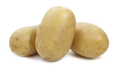 Кузбасский картофель настолько хорош, что его начали подделывать - МК  Кузбасс