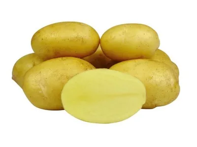 Картофель с жёлтой и белой мякотью - Сорт картофеля Тулеевский