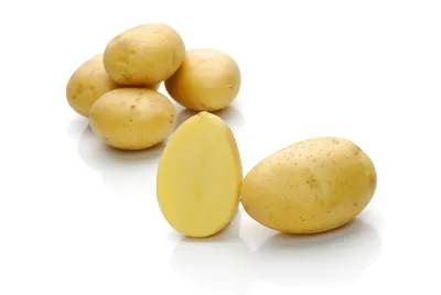 ГлавАгроном - Составлен рейтинг лучших сортов картофеля для выращивания в  СФО
