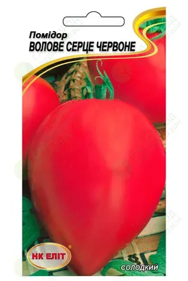 Ошибки при выращивании томата Бычье Сердце. Как правильно формировать  стебель для большего УРОЖАЯ!!! - YouTube