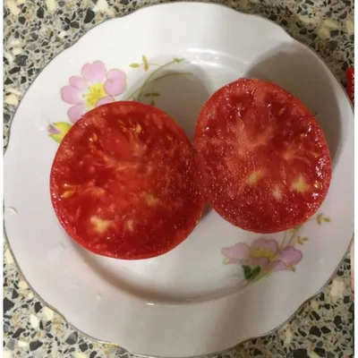 АгроСидсТрейд AGS/Октябрина/томат - купить по выгодным ценам в  интернет-магазине OZON (616193793)