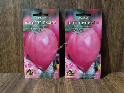 Томат Бычье сердце помидоры 40 шт Агрофирма Аэлита 148226376 купить за 122  ₽ в интернет-магазине Wildberries