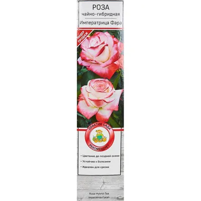 Роза чайно-гибридная Imperatrice Farah (Императрица Фарах) 890 руб. AGRO3469