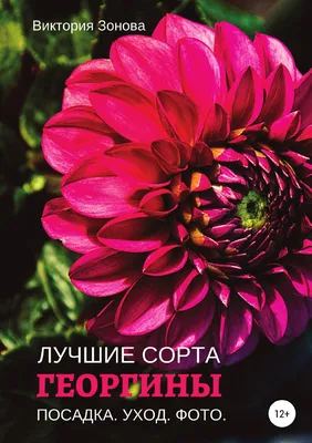 Книга Георгины. Лучшие сорта - купить дома и досуга в интернет-магазинах,  цены на Мегамаркет |