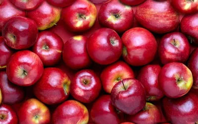 Яблоки красные - отзывы покупателей на маркетплейсе Мегамаркет | Артикул:  100039743070