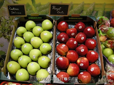 Летние сорта яблонь. Купить Саженцы яблонь летних сортов ТМ Дивосад