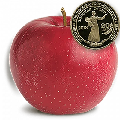 Яблоня Ред Кетти: яблоки красные снаружи и внутри! | Дачная Коллекция