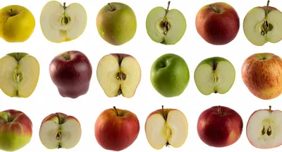 ЗИМНИЕ СОРТА яблонь - купить яблони в Клинском районе