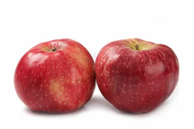 Яблоня Пасхальное - описание сорта и фото яблок