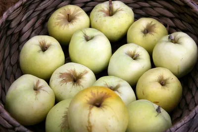 Будут дорожать сорта яблок, запасы которых снижаются – польский трейдер •  EastFruit