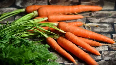 Названы самые сладкие сорта моркови для открытого грунта