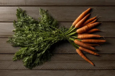 Семена моркови купить в Украине по выгодной цене оптом и в розницу |  Веснодар