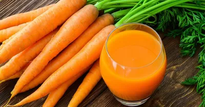 ГАУ Северного Зауралья запатентовал новый сорт моркови с высоким  содержанием каротина