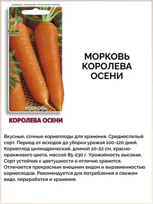 Лучшие сорта моркови — АгроXXI
