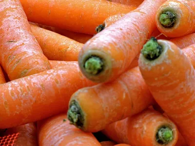 Семена \"Русский огород\" Морковь \"Нантская 4\" - «Популярный сорт моркови  \"Нантская 4\". Качество семян, посадка, уход. Фото моего урожая 2023.» |  отзывы