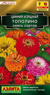 Цинния (Майоры) Красная семена купить в Украине | Веснодар