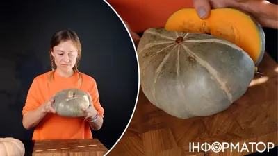 Купить семена тыквы Арабатской, Украина 20 г. | Ogurki.com