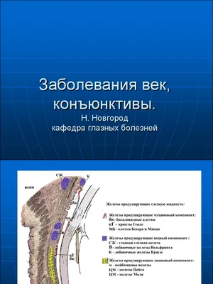 Конъюнктивит: причины, симптомы и лечение / «Особый взгляд» - портал для  людей, которые видят по-разному