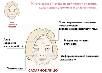 анатомия головы 3d череп с сосудистой анатомией и человеческим лицом,  реальные фотографии женской анатомии, анатомия, тело фон картинки и Фото  для бесплатной загрузки