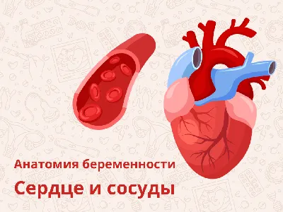 Стентирование сосудов сердца - Доказательная медицина для всех