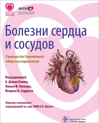 Тест: Что мы знаем о здоровье сосудов, сердца и давлении? - Новости Тулы и  области - MySlo.ru