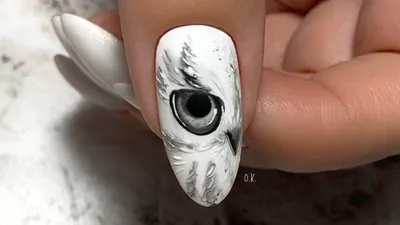 Зимний дизайн ногтей | сова на ногтях | инструменты STALEKS | густая база  Iva nails - YouTube