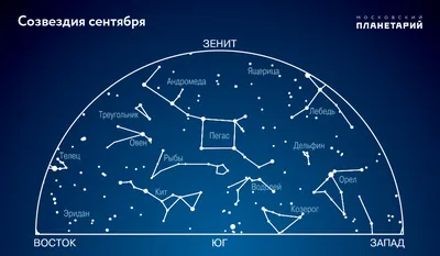 Ночное небо с иллюстрацией созвездия Близнецов Векторное изображение  ©robuart 132417640