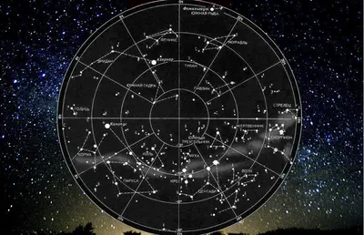 До звезд в глазах. Семь созвездий, которые можно рассматривать в небе над  Барнаулом этой весной