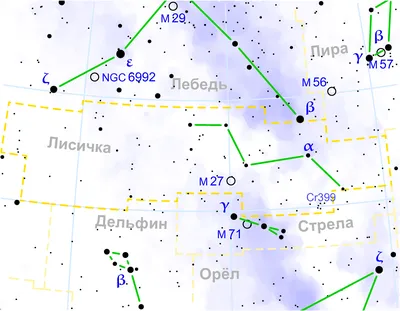 Созвездие Дельфина Дельфин Ночное Звездное Небо — стоковая векторная  графика и другие изображения на тему Planetarium - Building - Planetarium -  Building, Астрология, Астрономия - iStock