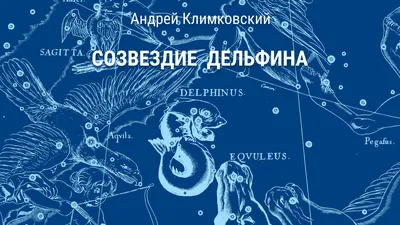 Постер и картина карта созвездия Delphinus, Eqvuleus - Дельфин, Жеребенок  (Малый Конь), артикул poster_44541