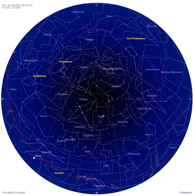 Созвездие Лебедя Векторная Иллюстрация С Именами Основных Звезд — стоковая  векторная графика и другие изображения на тему Лебедь - созвездие - iStock
