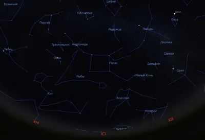Созвездие Лебедя Лебедь Ночное Звездное Небо — стоковая векторная графика и  другие изображения на тему Лебедь - Лебедь, Созвездие, Астрология - iStock