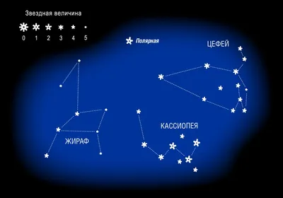 Маркировка “Созвездие лебедя”, “Лебедь” без нумерации (Копировать) –  Психологическое зеркало и тИГРотека