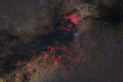 Звёзды Денеб, 62 Лебедя, Туманности Северная Америка (NGC7000) И Пеликан  (IC5070) в созвездии Лебедь | Пикабу