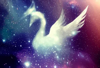 Поделка Созвездие «Лебедь» №390068 - «КОСМИЧЕСКАЯ ОДИССЕЯ» (12.04.2023 -  09:18)
