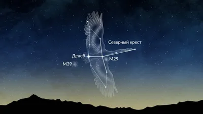 Рисунки из звезд созвездия Лебедь | ABC2home.ru | Дзен