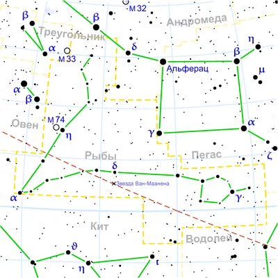 Созвездие рыбы фото фото