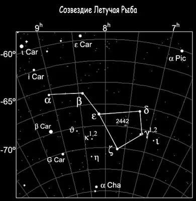 Картинки созвездие рыбы по звездам (64 фото) » Картинки и статусы про  окружающий мир вокруг