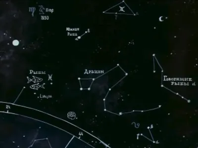 Созвездие рыбы реалистичное Zodiacal Иллюстрация вектора - иллюстрации  насчитывающей соединяться, сияние: 212886555