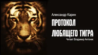 Звериный рык или ласковое мяуканье: что готовит год Тигра знакам зодиака |  Щучинская районная газета Дзяннiца