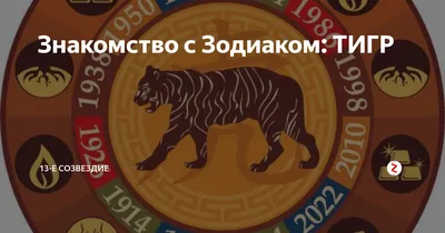 Новый год Тигра 2022. Многоугольный тигр с многоугольной головой.  Футуристический современный абстрактный фон. Векторная иллюстрация.  Векторное изображение ©Elenamer 515414864