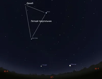 Иллюстрация созвездия ночного неба ai Скачать бесплатно Созвездие ночного  неба вектор - Urbanbrush
