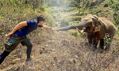 Они мучают слонов, а потом проливают крокодиловы слезы\". Что делают со  слонами в Индии - BBC News Русская служба