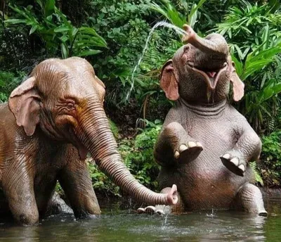 самка слона заряжает азиатских слонов Фон И картинка для бесплатной  загрузки - Pngtree