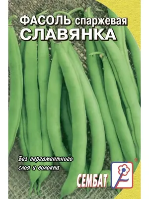 Семена Фасоль спаржевая, Маслянный Король, 8 г, цветная упаковка, Русский  огород в Твери: цены, фото, отзывы - купить в интернет-магазине Порядок.ру